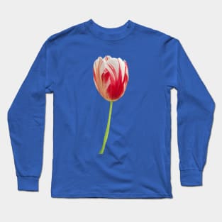 Modern Viceroy Long Sleeve T-Shirt